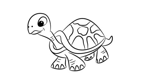 Dibujos De Tortugas Para Colorear