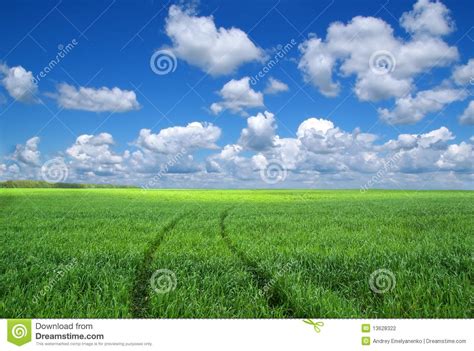 Green Field And Blue Sky Stock Photo Image Of Cloud