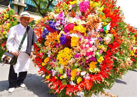 All About Colombias Impressive Flower Festival