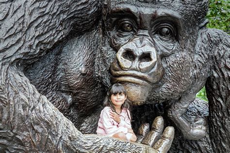 Girl In The Hand Of A Gorilla Photograph By Fran Gallogly Pixels