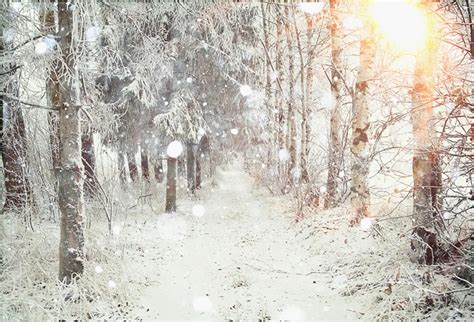 Buy Laeacco Winter Snow Forest Pathway Snowflakes