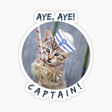 Aye Aye Captain Cat Sticker For Sale By Nobaconsleft Redbubble
