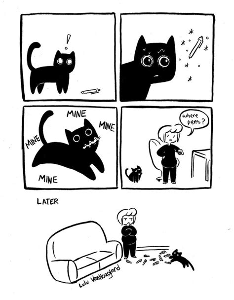 Pin By Anp On Cats Be Like Cat Comics Cat Jokes Funny Cats