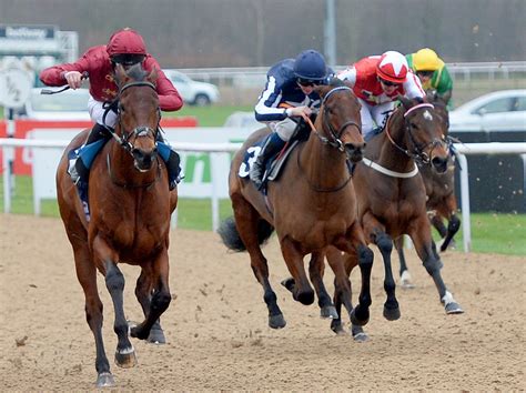 Wolverhampton Races cancels Saturday meeting amid equine flu outbreak | Express & Star