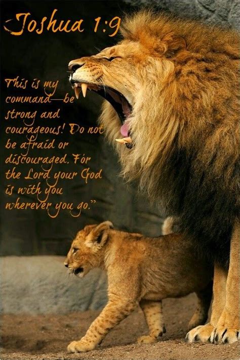 Bible Verse Images For Lions Images And Photos Finder