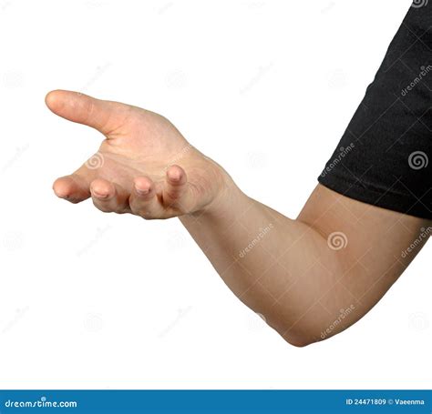 Hand Isolated On White Stock Image Image Of Person Closeup 24471809
