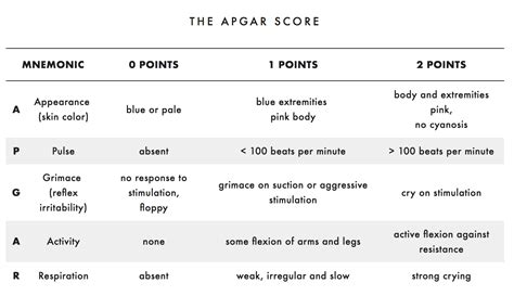 Apgar Newborn Assessment