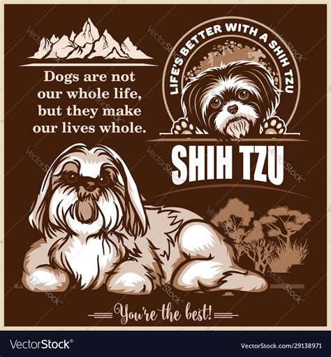 Shih Tzu Set For T Shirt Logo Royalty Free Vector Image