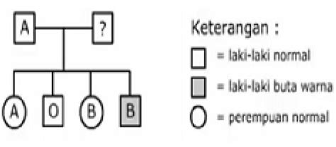 Perhatikan Peta Silsilah Keluarga Berikut B