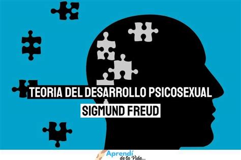 Etapas Del Desarrollo Psicosexual Por Sigmund Freud Explicaci N F Cil