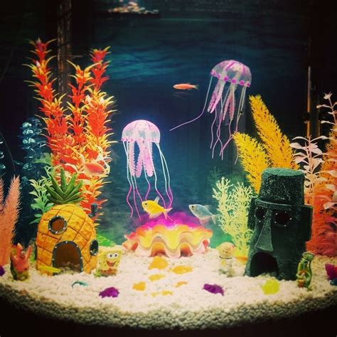 Spongebob Themed Aquarium Complete With Jelly Fish Fish Aquarium
