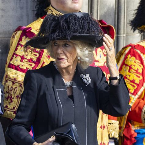 Camilla Queen Consort Receives New Royal Monogram Mytalk 1071