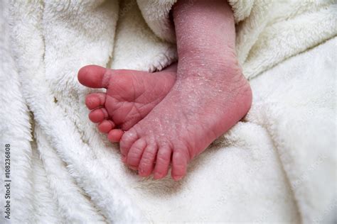 Süße Babyfüße Eines Zwei Wochen Alten Neugeborenen Stock Foto Adobe Stock