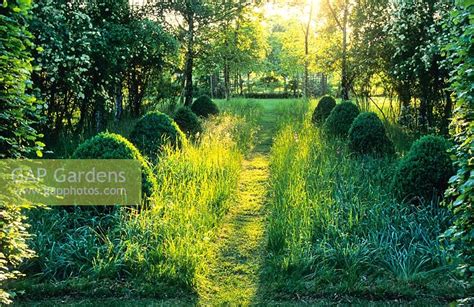 Mown Path Through Lo Stock Photo By Howard Rice Image 0133849