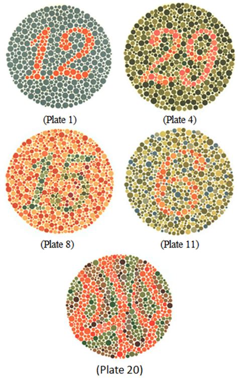 Figure 2 Color Online Sample Ishihara Plates Everyone Should Be