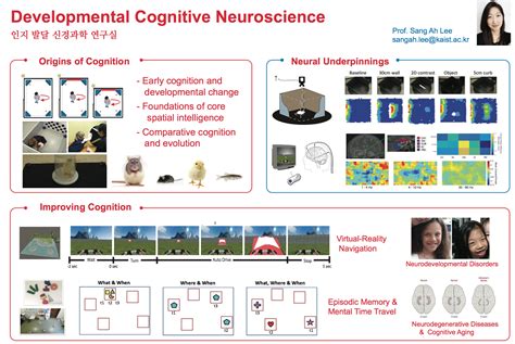Introduction Developmental Cognitive Neuroscience Lab