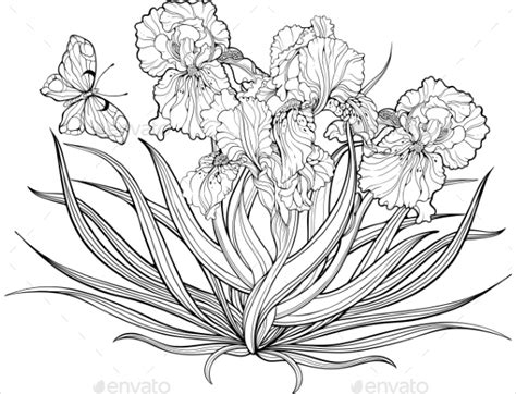 Coloring pages are a fun way for kids of all ages to develop creativity, focus, motor skills and color recognition. 22+ Flower Coloring Pages - Free & Premium Download