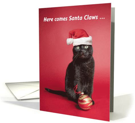 Merry Christmas For Anyone Black Cat Christmas Humor Card 1586322