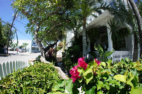 Offering an outdoor pool, duval inn is located in key west. Key West Bed and Breakfast, Duval Inn Guesthouse and B&B ...