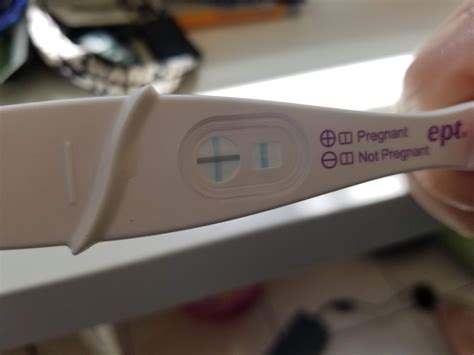 Missed Period But Negative Pregnancy Test And No Symptoms
