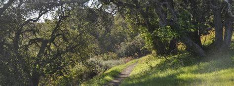 Edgewood Park Trails