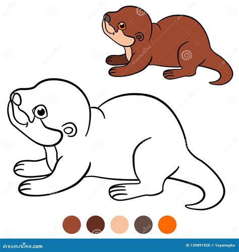 Coloring Page Little Cute Baby Otter Smiles Stock Vector