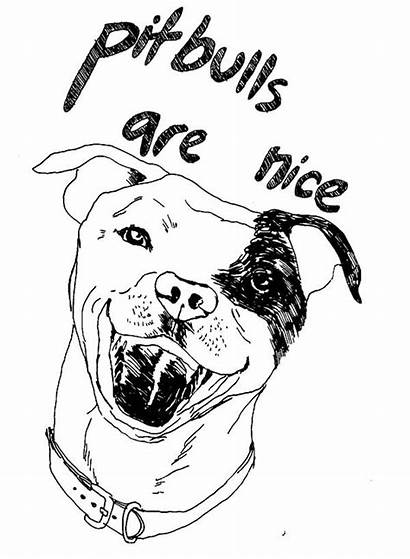 Coloring Pitbull Pages Dog Realistic Terrifying Adults