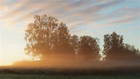 Meadow Landscape With Mist At Dawn Photograph By Juhani Viitanen Fine