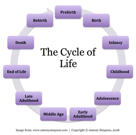 Life Cycle Diagram Template