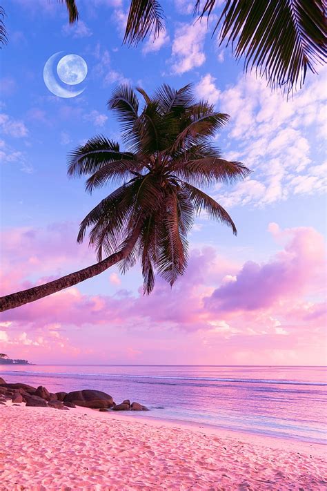 Aesthetic Beach Beach Palms Tropical Hd Phone Wallpaper Peakpx