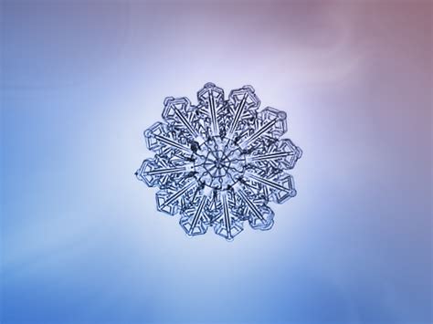 The Most Beautiful Snowflake Photos Youll Ever See Captured With A