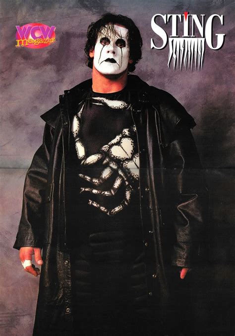 The Franchise Of Wcw Sting Sting Wcw Wrestling Wwe Wcw