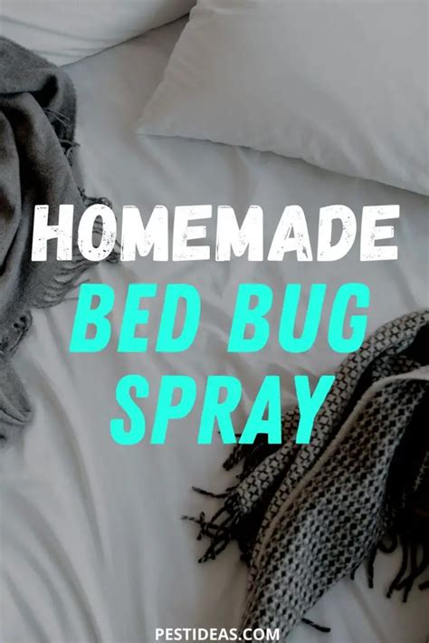 Diy Bed Bug Spray Get Rid Of Bed Bugs Naturally