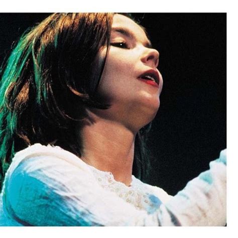 Debut Live Björk Songs Reviews Credits Allmusic