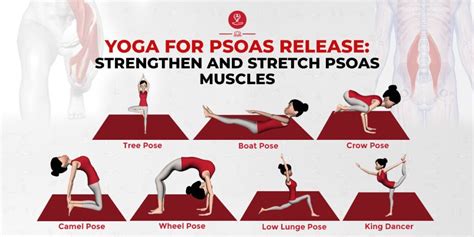 Major Muscles Core Muscles Psoas Stretch Gyan Mudra Psoas Release