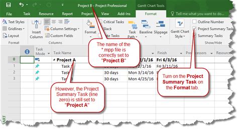 Ms Project Summary Task Mahahq