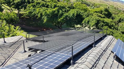 Effective Solar Panel Protection Starts With Custom Netting Solutions