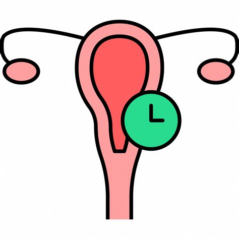 Labia Ovary Urogenital Urogenital System Uterus Vagina Icon