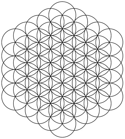 Fileflower Of Life 61circlespng Wikimedia Commons