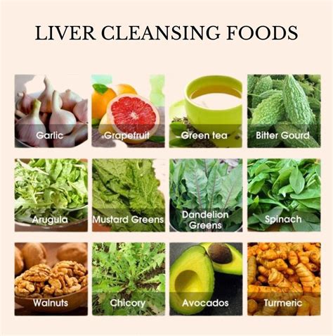 The Benefits Of Liver Cleansing Anima Mundi Herbals