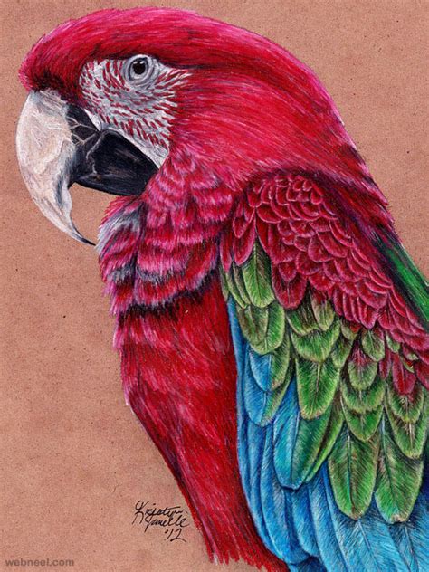 Search anything about pictures in this website. 40 Beautiful Bird Drawings and Art works for your inspiration