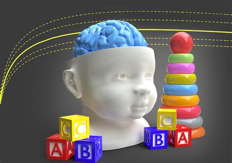 Normal Brain Growth Curves For Children Developed Childhood Brain