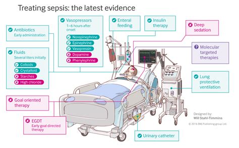 Sepsis Bringing It All Together Sepsis Medical Library