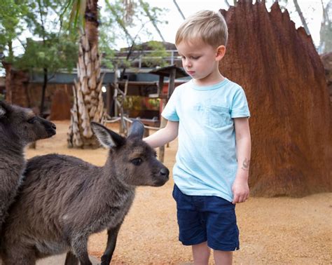 Summer At Wild Life Sydney Zoo Darling Harbour