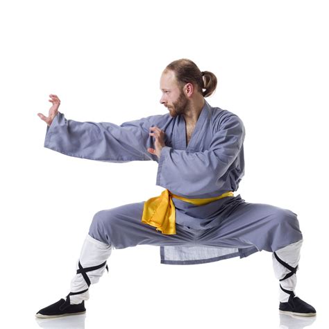 Everything You Need To Know About All The Kung Fu Fighting Styles