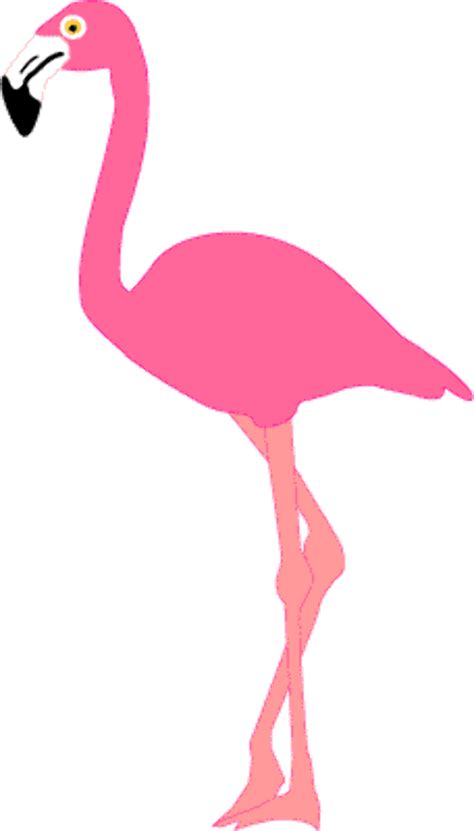 Download High Quality Flamingo Clip Art Party Transparent