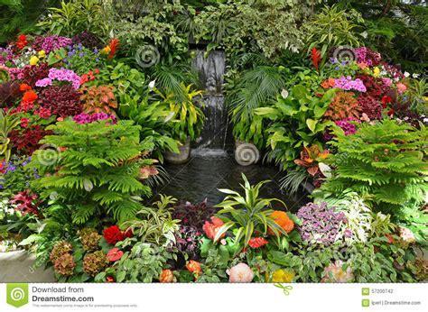 Colorful Tropical Garden Stock Photo Image Of Blooming