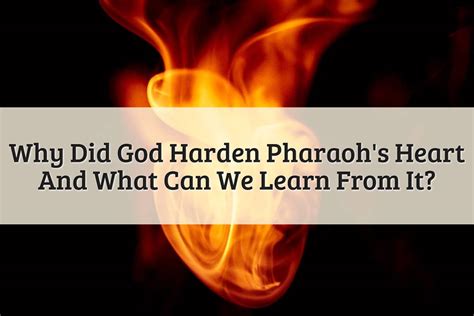 Why Did God Harden Pharaohs Heart Intentionally 2024