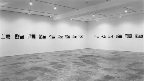 Nobuyoshi Araki Tokyo Nude Private Diary Exhibitions Luhring