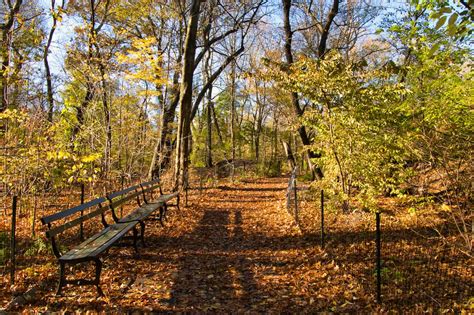The Ramble Of Central Park Complete Guide Trails Map And More